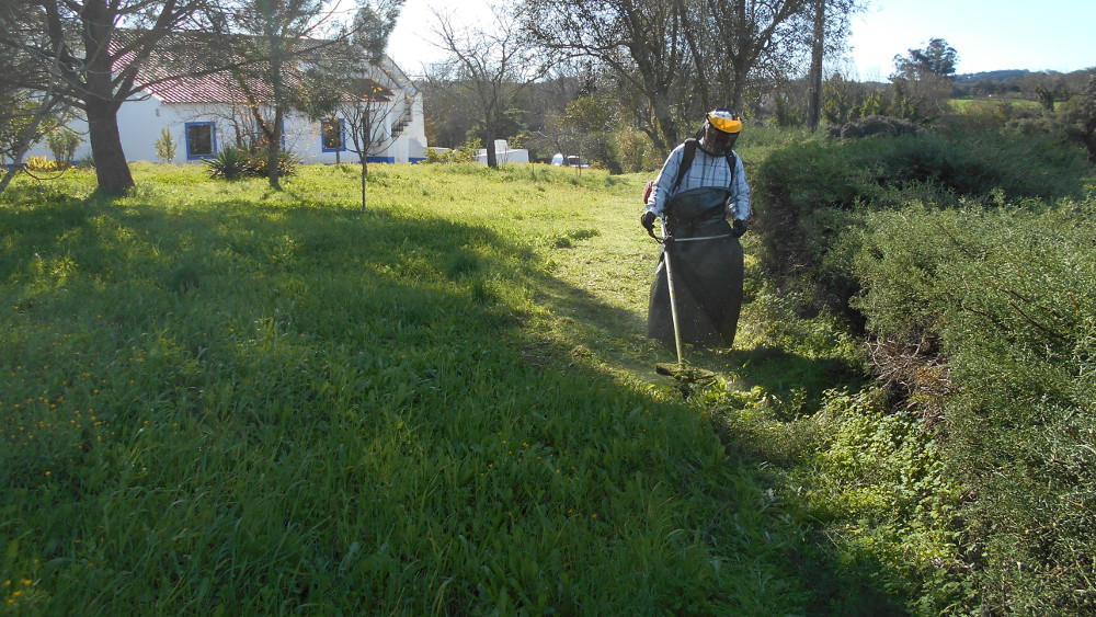 Limpeza de passeios e corte de ervas em São Mateus