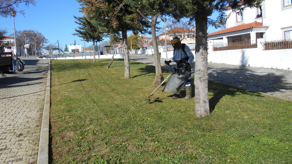Limpezas e corte de ervas em São Domingos e Quinta da Nora